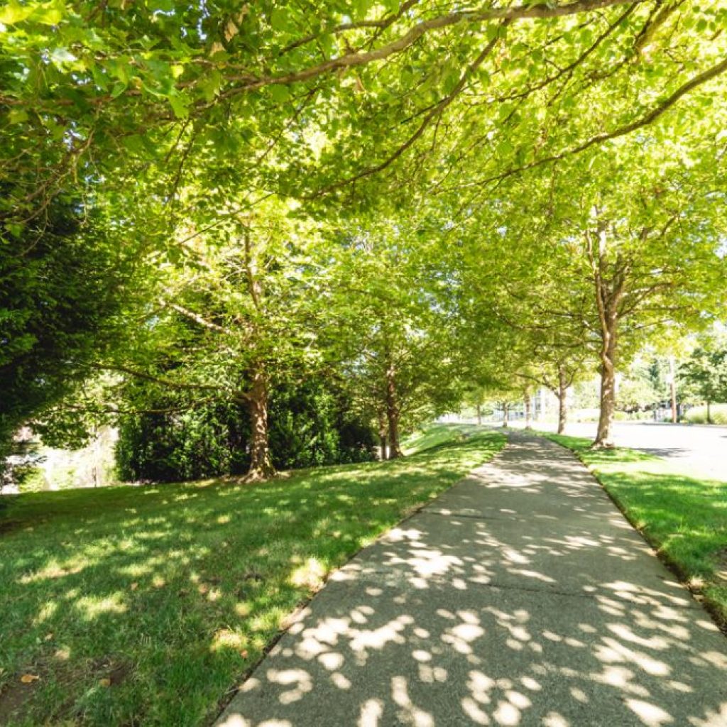 Jamestowne Plaza Apartments West Linn, OR Norris & Stevens, Inc.